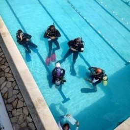 PADI IDC – Instructor Development Course in Roatan