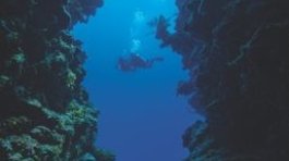 Deep Diver Instructor