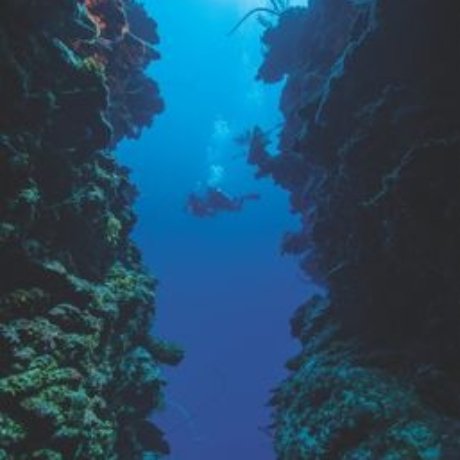 Deep Diver Instructor