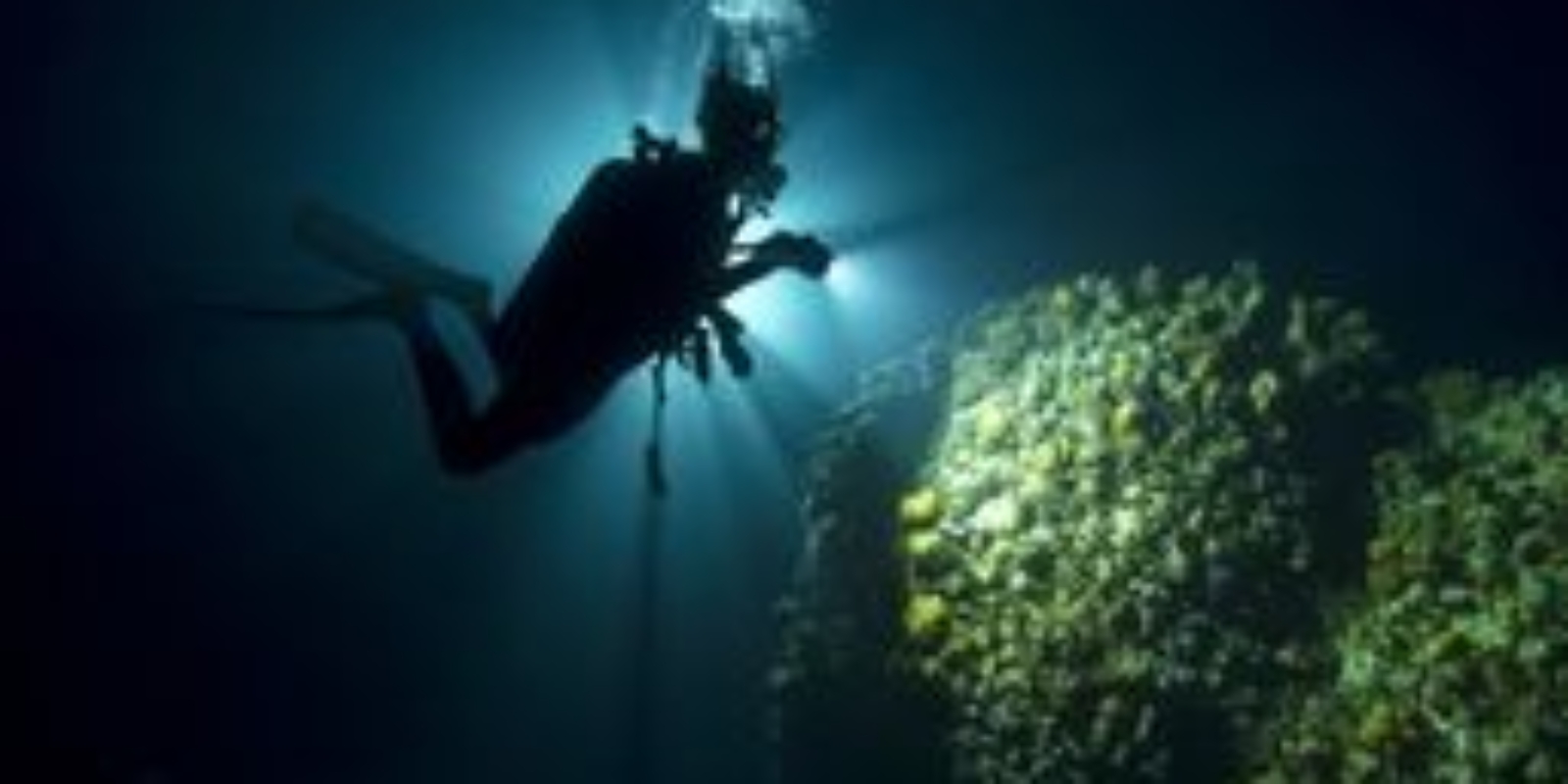 Night Diver Instructor