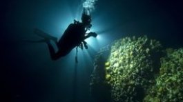Night Diver Instructor