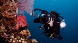 Digital Underwater Photography Instructor