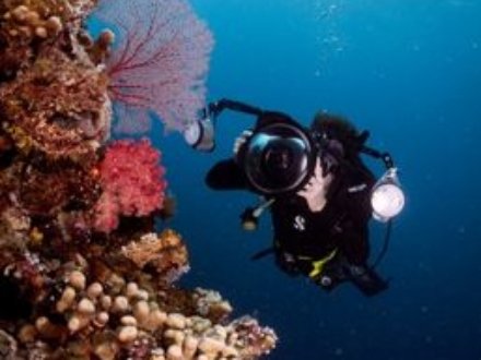 Digital Underwater Photography Instructor