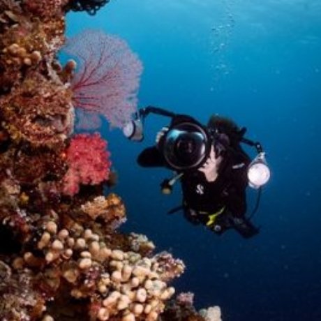 Digital Underwater Photography Instructor