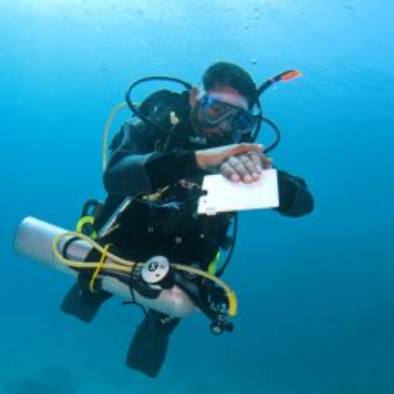 Self-Reliant Instructor