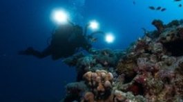 Underwater Videographer Instructor