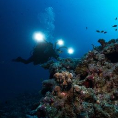 Underwater Videographer Instructor