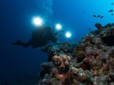 Underwater Videographer Instructor