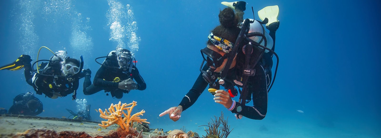 dive instructor training cost 2025