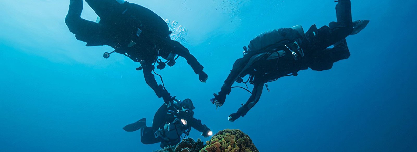 Tec Safety Diver assisting a teammate during a decompression stop, showing readiness and team coordination underwater.