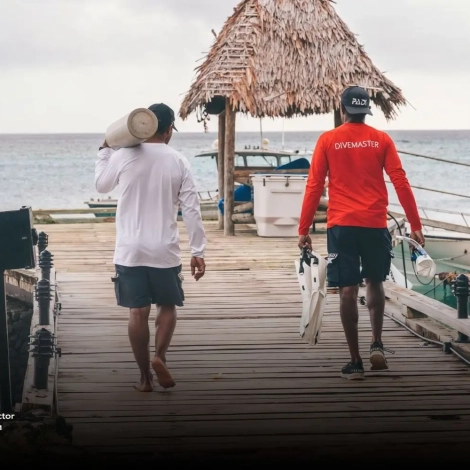 Divemaster to Instructor career transition, moving from guiding dives toward a professional teaching path