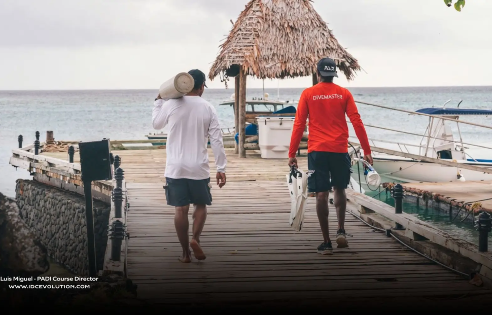 Divemaster to Instructor career transition, moving from guiding dives toward a professional teaching path