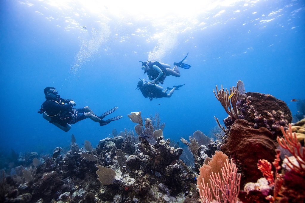 A Divemaster leads two scuba divers over a vibrant coral reef, guiding the group through clear blue water as sunlight streams down from the surface.
