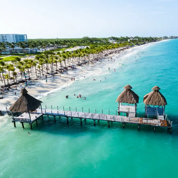 Tropical coastline in Mexico and the Caribbean