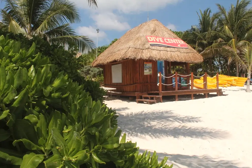 Pro Dive International dive center base on the white sands of Maroma Beach in Playa del Carmen, surrounded by lush tropical vegetation and palm trees, with yellow kayaks beside the thatched-roof wooden building