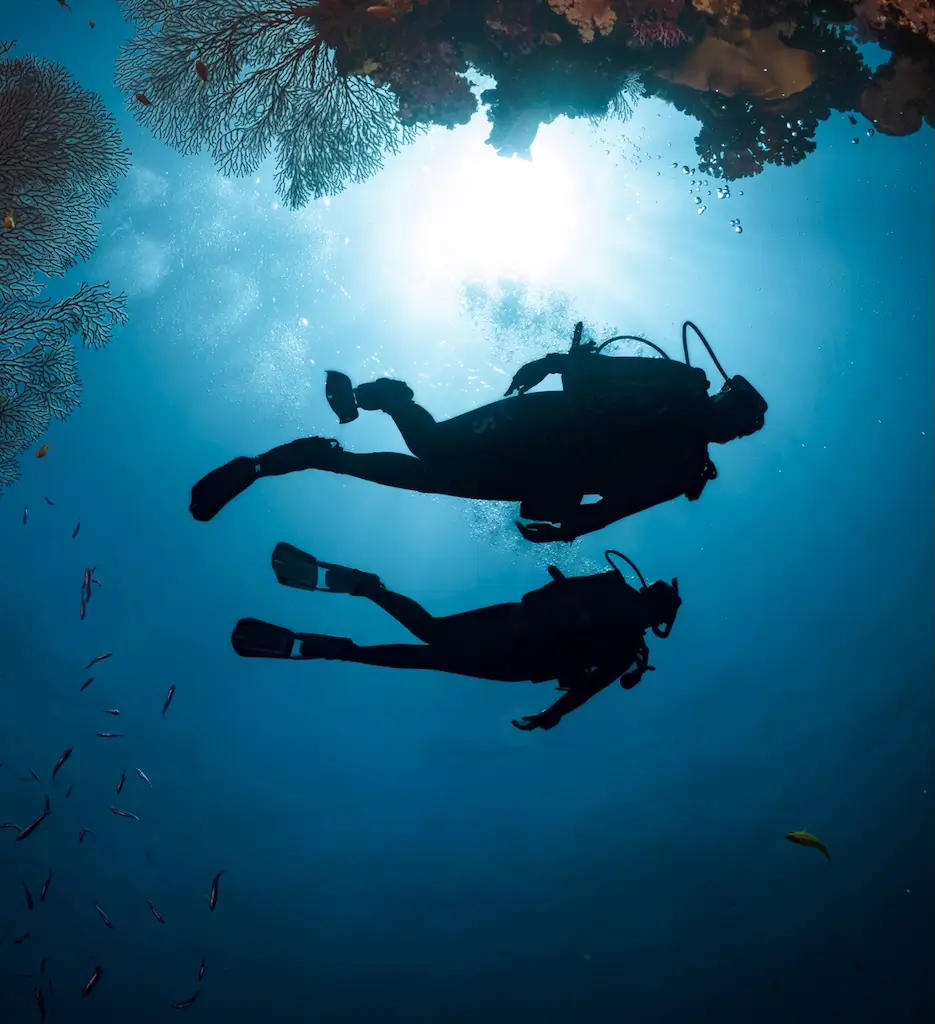 Two scuba divers swim beneath a coral reef in clear blue water, silhouetted against sunlight filtering down from the surface