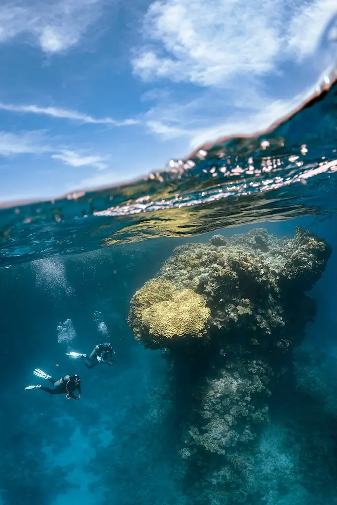 Two scuba divers swim beside a large coral reef beneath the ocean surface, with bright blue water and a partly cloudy sky visible above the waterline