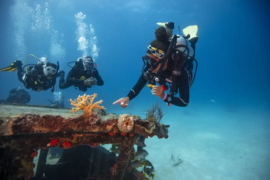 Three scuba divers explore an underwater wreck covered in colorful coral, with one diver pointing toward the reef