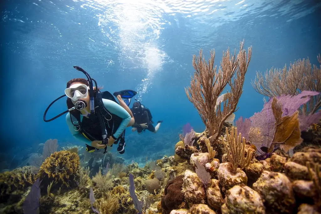 A scuba diver swims over a colorful coral reef in clear blue open water, with another diver in the background and sunlight filtering down from the surface.